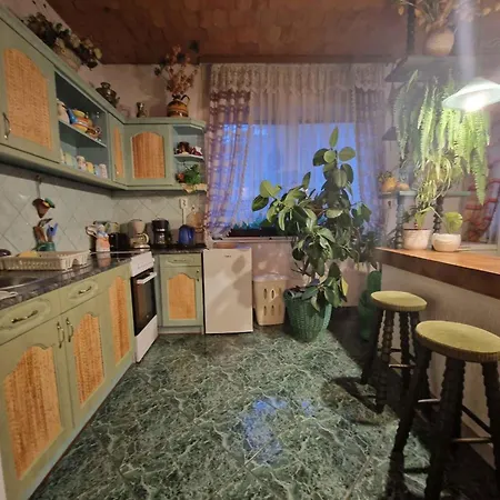 With Bbq In 55116 Balatonlelle