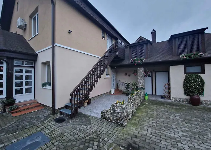 With Bbq In 55116 公寓 巴拉通雷勒