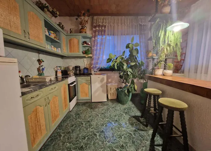 With Bbq In 55116 巴拉通雷勒