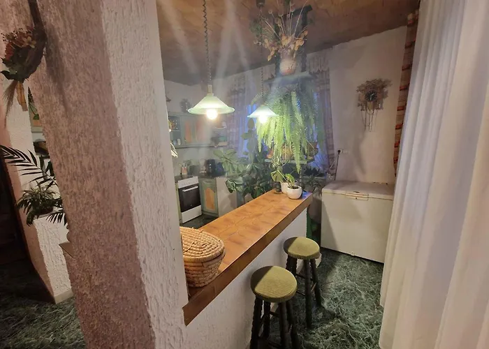 With Bbq In 55116 公寓 *